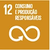 ODS 12