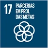 ODS 17